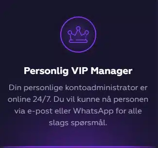Playfina VIP icon1 Review